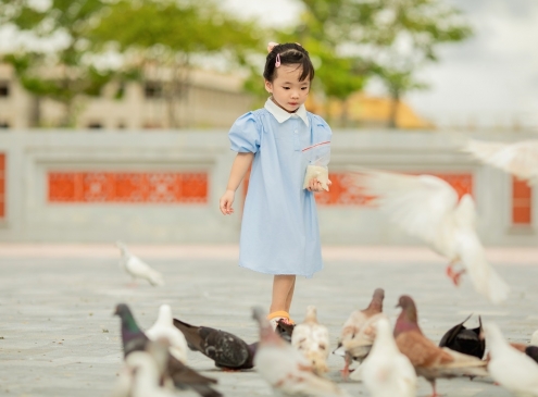 Nơi ấy BÌNH YÊN Nơi ấy là ECOGARDEN